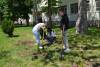 МКЦ Битола со волонтерска акција за раззеленување на дворот во училиштето „Таки Даскало“