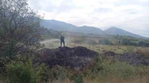 Пиромани се обиделе да ја запалат боровата шума кај Горно Српци додека пожарникарите гаселе опожарена трева