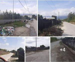 Битолчани фрлаат ѓубре насекаде-„Комуналец“ чисти и не може да престигне од диви депонии