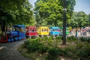 Коњановски-После 25 години вовчето „Мечо“ се врати во Градскиот парк