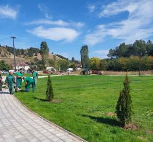 „Комуналец“ ги засади првите зимзелени садници во новиот парк кај Довлеџик