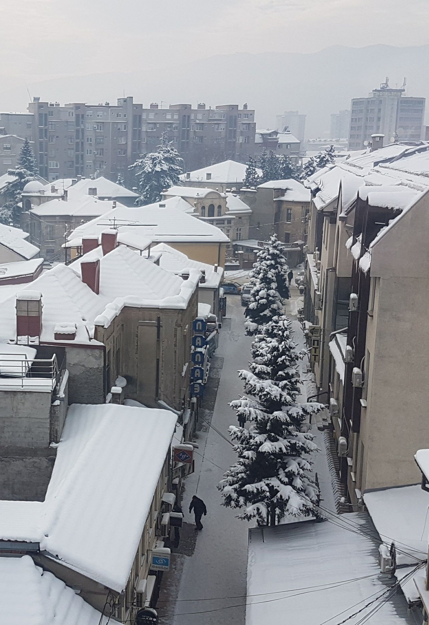 борови пошта