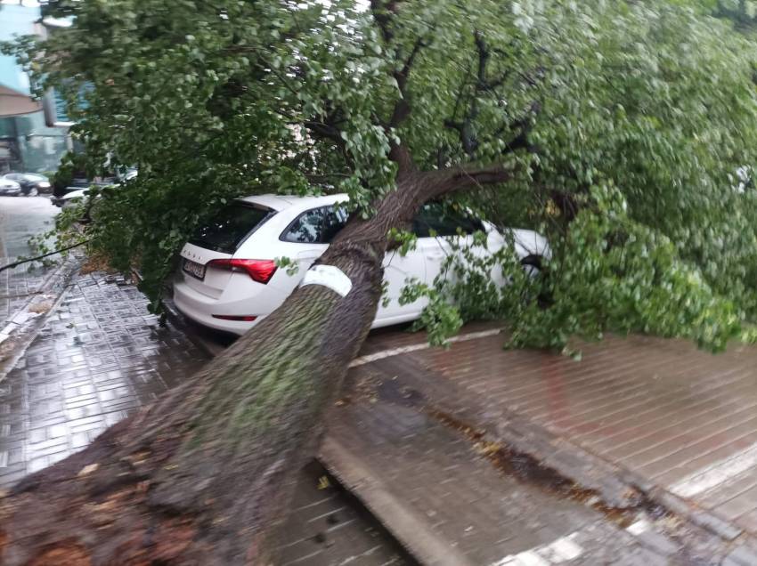 Во невремето оштетени неколку возила во Битола, паднати дрвја и бандери