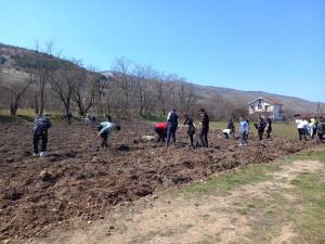 150 лешникови садници засадени во училишниот двор на „Александар Турунџев“ во Кукуречани
