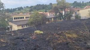 Подметнати десетина пожари низ Битола,  пожарникарите со натчовечки напори го спасија училиштето во Стрелиште