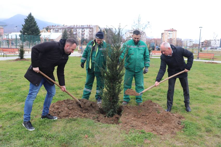 УРБАНО ЗАЗЕЛЕНУВАЊЕ НА ПАРКОТ КАЈ ДОВЛЕЏИК