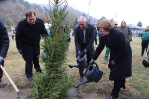 Во Битола се садат 1500 внимателно избрани видови дрвја