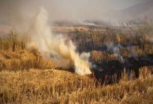Пожарот кај Цапари ставен под контрола, вели Горан Димковски командир на ПП единица Битола