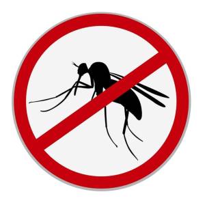 Утре и задутре втора фаза од дезинсекцијата за уништување на комарците во Битола