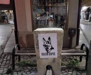 СВР Битола-на ул. „Дебарска“ 52 годишна битолчанката касната од куче скитник