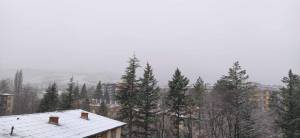 Слаб снег во Битола и утринска температура од минус 1 степен