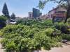 Корлевски: Коњановски повторно манипулира, спроведува проект  на Талески  кој требаше да се ревидира и да се гради кружен тек без сечење дрвја