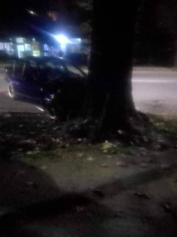 Кола се заби во дрво на „Иван Милутиновиќ“